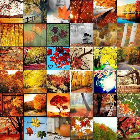 Nature's Palette: Fun Facts About Fall Colors in Fashion