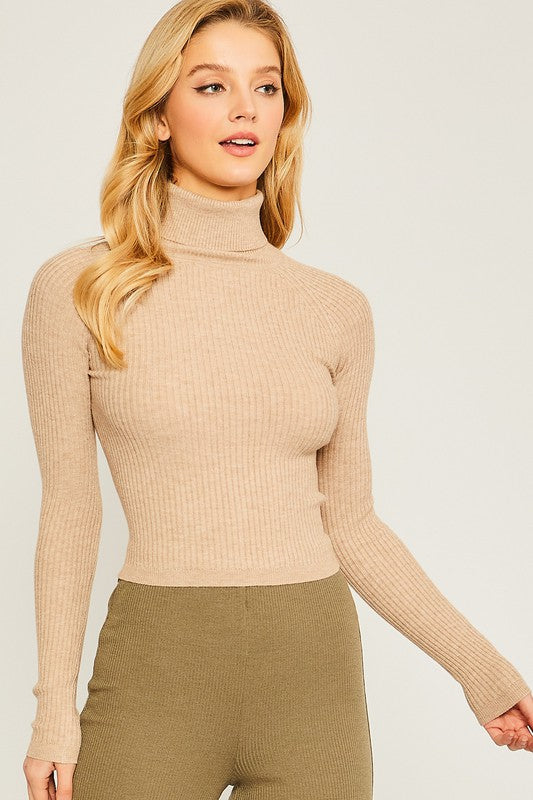 Ribbed Turtleneck Sweater