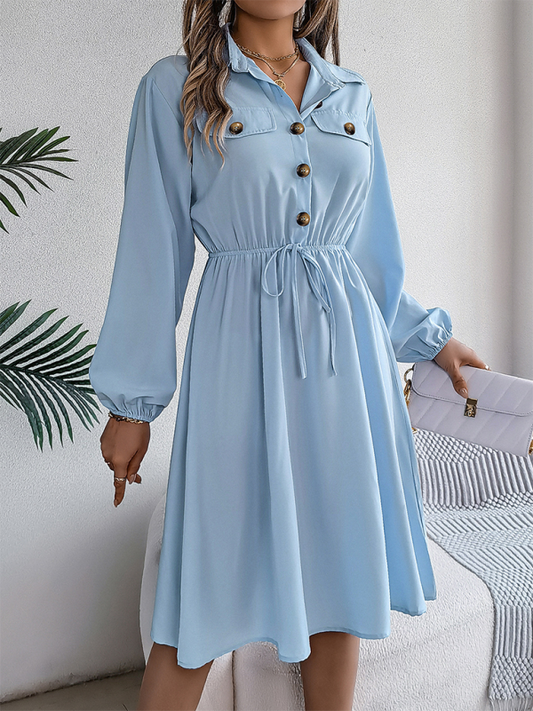 Button Collared Shirtdress